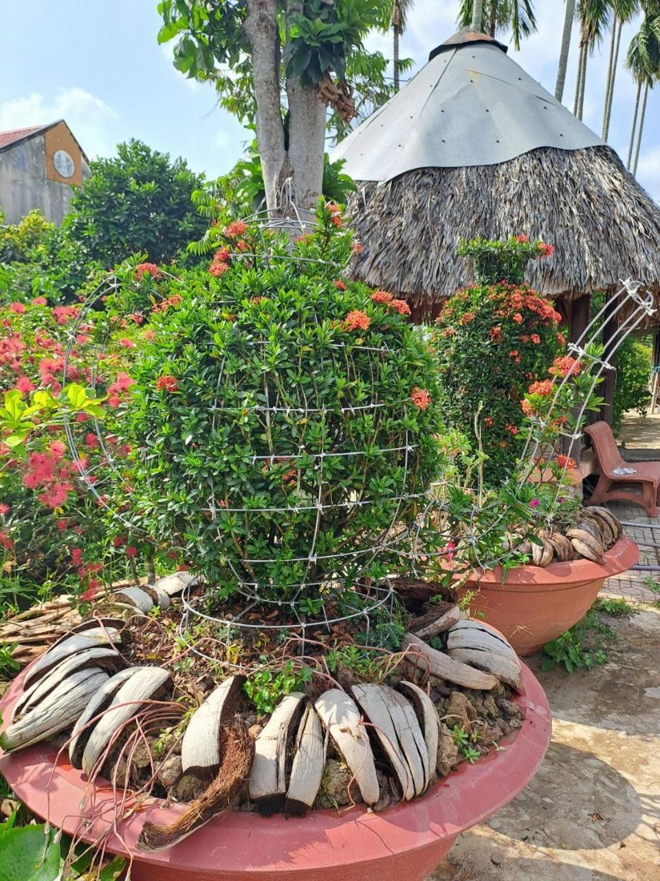 Ngoc Phuong Homestay Vĩnh Long Eksteriør billede